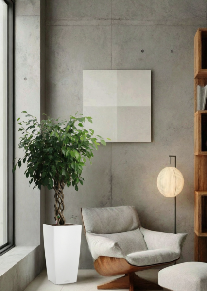 Фикус Бенджамина Экзотика цилиндр 27/120 см в CUBICO COLOR 30