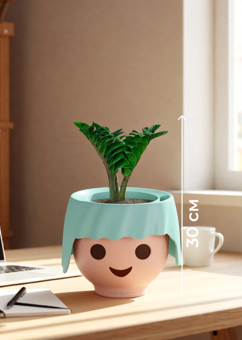 Замиокулькас Зензи в OjO