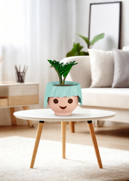 Замиокулькас Зензи в OjO