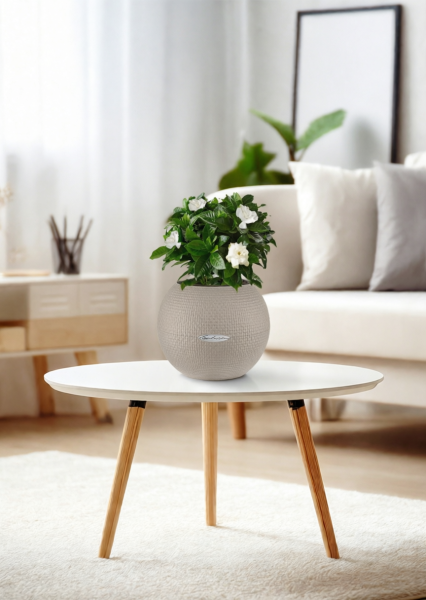 Гардения 12/30 см в PURO 20