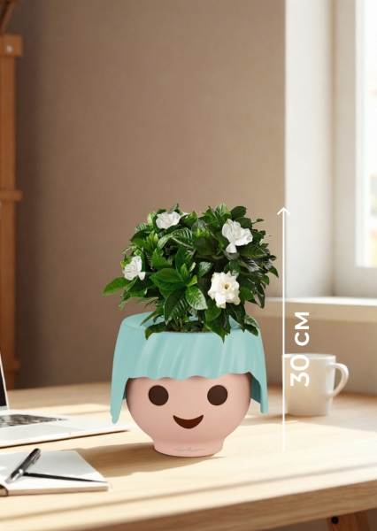 Гардения 12/30 см в OJO