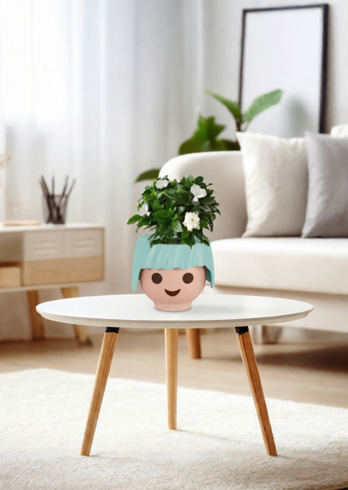 Гардения 12/30 см в OJO