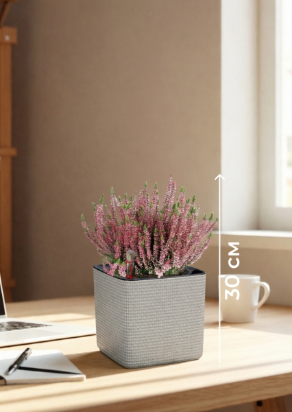 Вереск (Эрика) розовый в CUBE COLOR 14