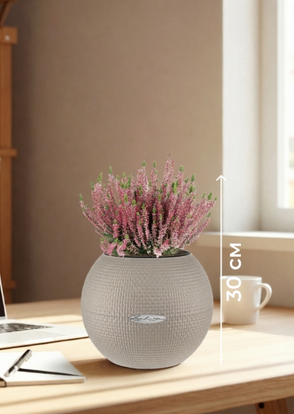 Вереск (Эрика) розовый в PURO 20