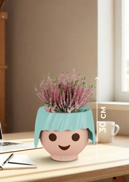 Вереск (Эрика) розовый в OJO