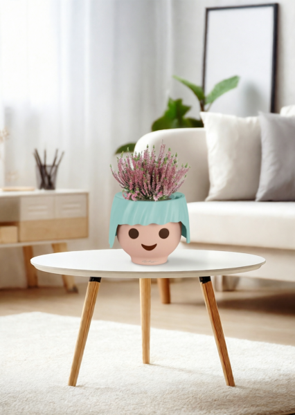 Вереск (Эрика) розовый в OJO