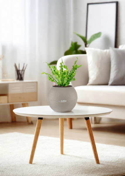 Асплениум Криспи 9/15 см в PURO 20