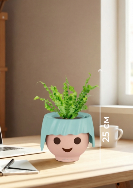 Асплениум Криспи 9/15 см в OJO