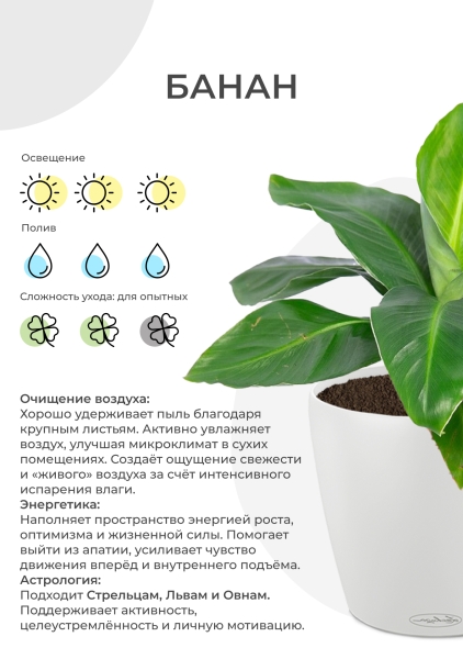 Банан 12/30 см