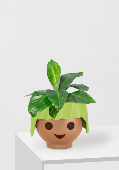 Банан OJO 40 см, Зеленый