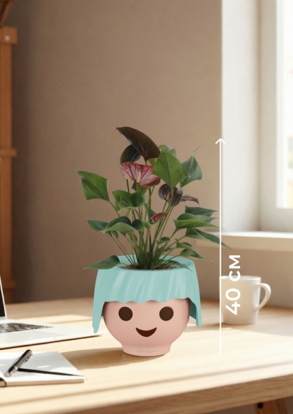 Антуриум Андре шоколадный 12/40 см в OJO Антуриум Андре шоколадный 12/40 см в OJO