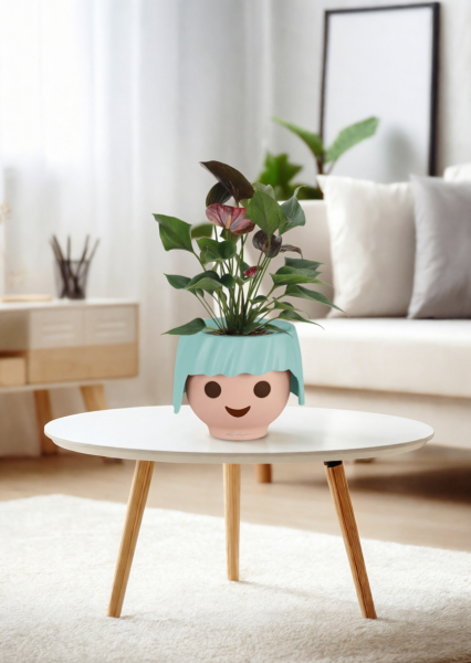 Антуриум Андре шоколадный 12/40 см в OJO Антуриум Андре шоколадный 12/40 см в OJO