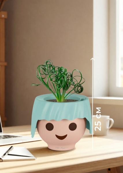 Альбука Спиралис 12/25 см в OJO Альбука Спиралис 12/25 см в OJO