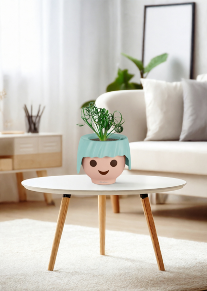 Альбука Спиралис 12/25 см в OJO Альбука Спиралис 12/25 см в OJO