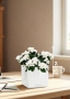 Азалия индика белая 12/25 см в CUBE GLOSSY 14