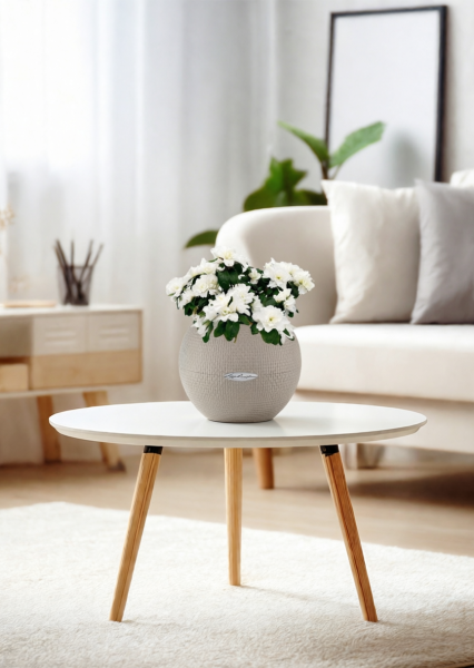 Азалия индика белая 12/25 см в PURO 20 