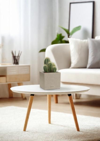 Кактус микс 8 см в CANTO STONE 14 Кактус микс 8 см в CANTO STONE 14