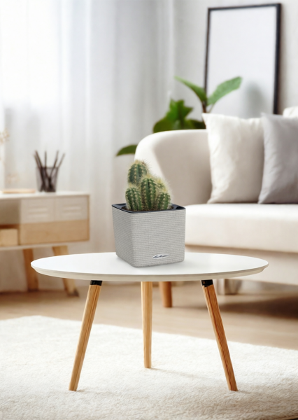 Кактус микс 8 см в CUBE Color 14 Кактус микс 8 см в CUBE Color 14