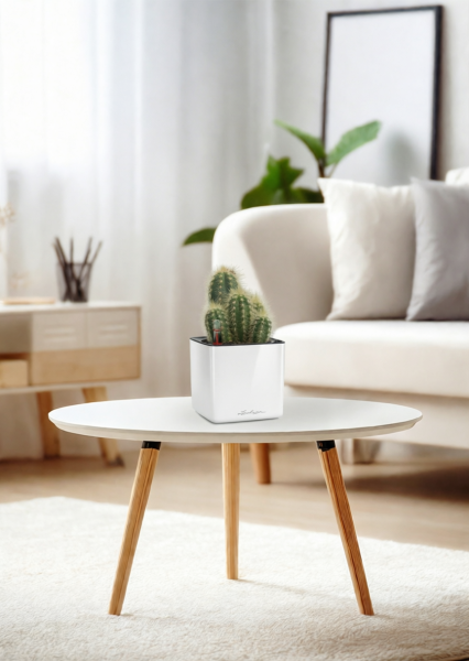 Кактус микс 8 см в CUBE GLOSSY 14 Кактус микс 8 см в CUBE GLOSSY 14