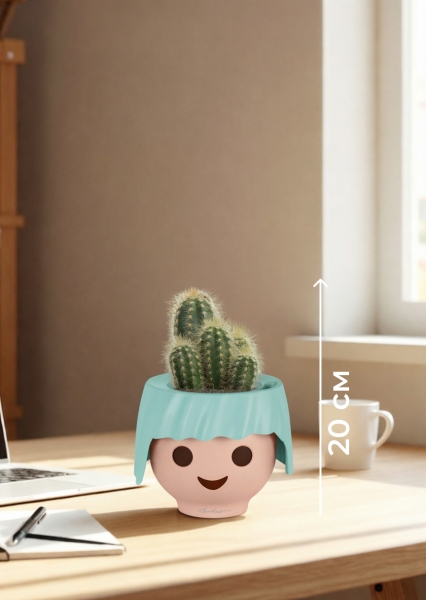 Кактус микс 8 см в OJO Кактус микс 8 см в OJO