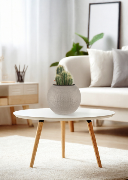 Кактус микс 8 см в PURO 20 Кактус микс 8 см в PURO 20