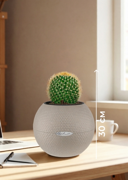 Кактус Маммиллярия Полителе 12/20 см в PURO 20 Кактус Маммиллярия Полителе 12/20 см в PURO 20