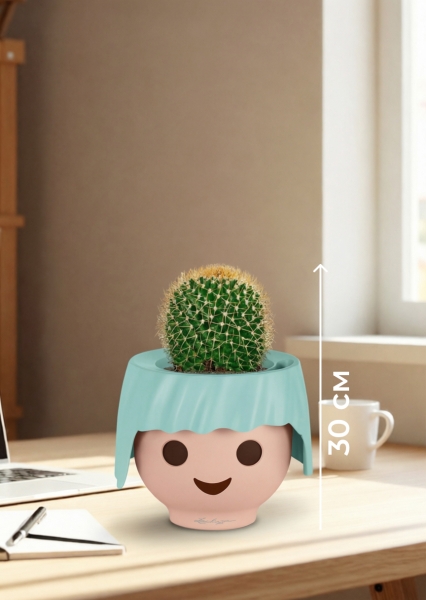 Кактус Маммиллярия Полителе 12/20 см в OJO