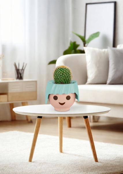 Кактус Маммиллярия Полителе 12/20 см в OJO