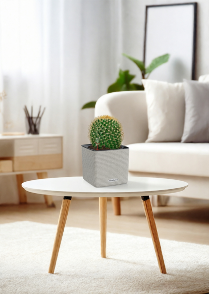 Кактус Маммиллярия Полителе 12/20 см в CUBE COLOR 14