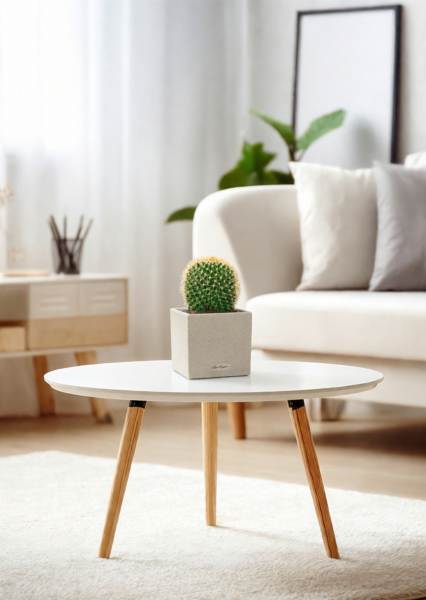 Кактус Маммиллярия Полителе 12/20 см в CANTO STONE 14