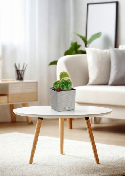 Кактус Пародия Ленингхауза 12/20 см в CUBE COLOR 14 Кактус Пародия Ленингхауза 12/20 см в CUBE COLOR 14