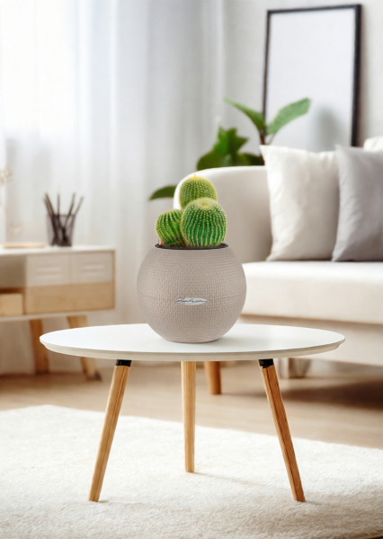 Кактус Пародия Ленингхауза 12/20 см в PURO 20 Кактус Пародия Ленингхауза 12/20 см в PURO 20