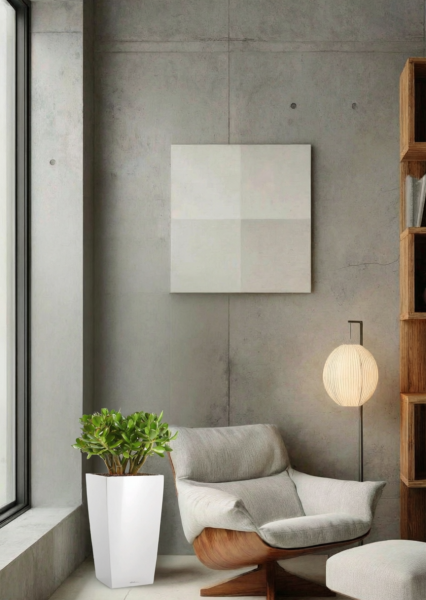 Крассула Овата в CUBICO Color 22 Крассула Овата в CUBICO Color 22