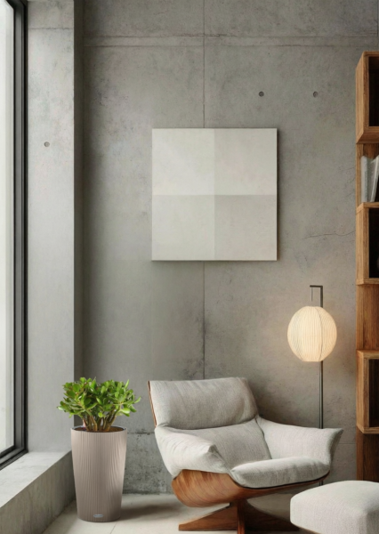 Крассула Овата в CILINDRO 23 Крассула Овата в CILINDRO 23