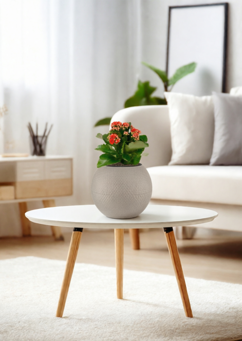 Каланхоэ микс 12/30 см в PURO 20