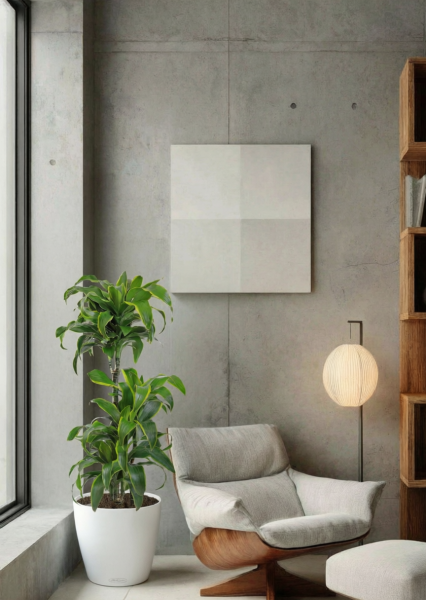 Драцена Дорадо 3 ствола в CLASSICO LS 28