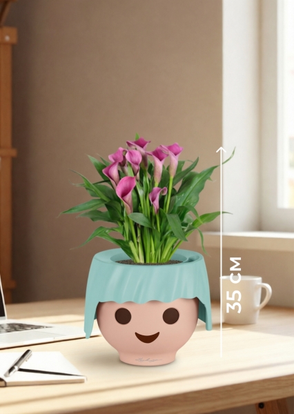 Калла микс 12/35 см в OJO