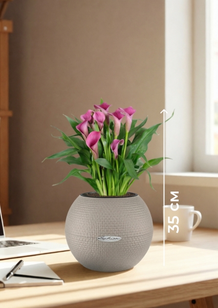 Калла микс 12/35 см в PURO 20