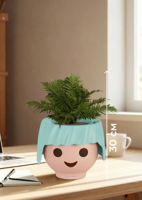 Блехнум 12/30 см в OJO