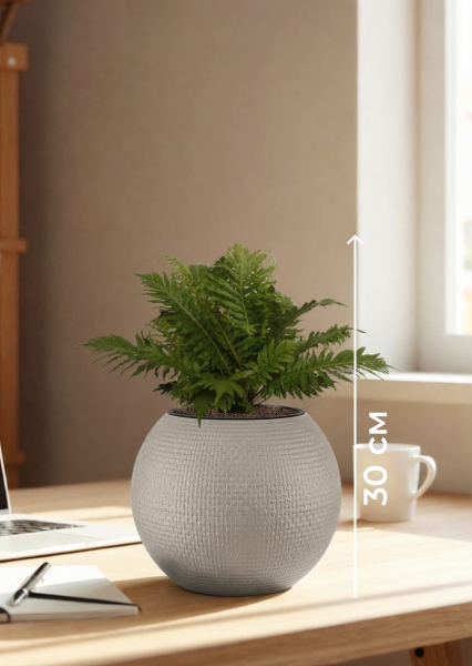 Блехнум 12/30 см в PURO 20