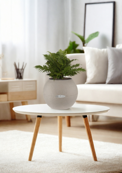 Блехнум 12/30 см в PURO 20