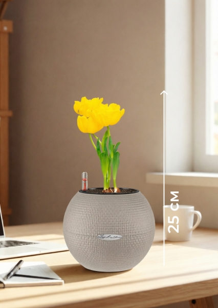 Тюльпан 7/15 см в PURO 20