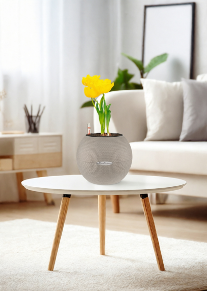 Тюльпан 7/15 см в PURO 20