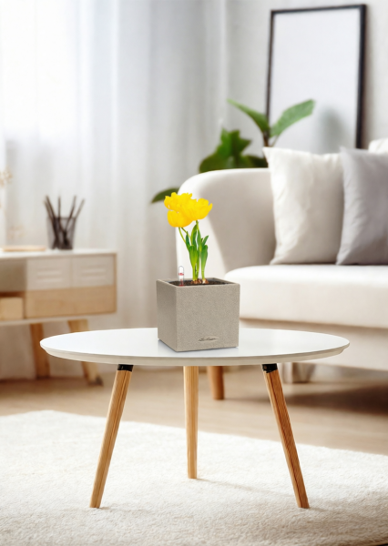 Тюльпан 7/15 см в CANTO STONE 14 Тюльпан 7/15 см в CANTO STONE 14