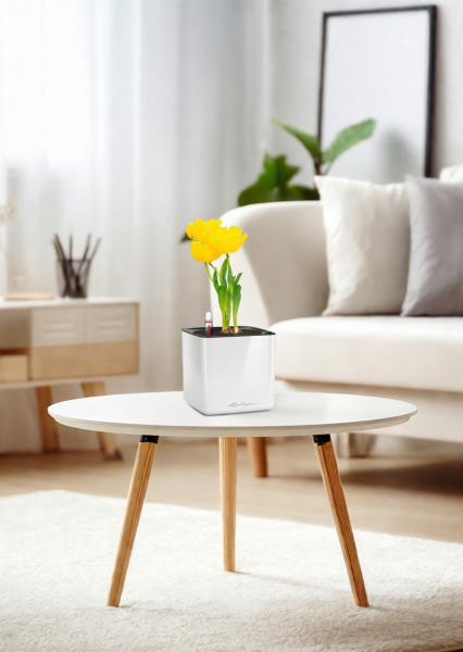 Тюльпан 7/15 см в CUBE GLOSSY 14 Тюльпан 7/15 см в CUBE GLOSSY 14