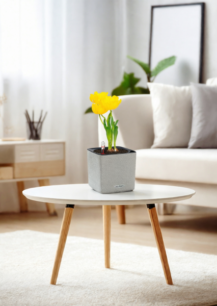 Тюльпан 7/15 см в CUBE COLOR 14 Тюльпан 7/15 см в CUBE COLOR 14