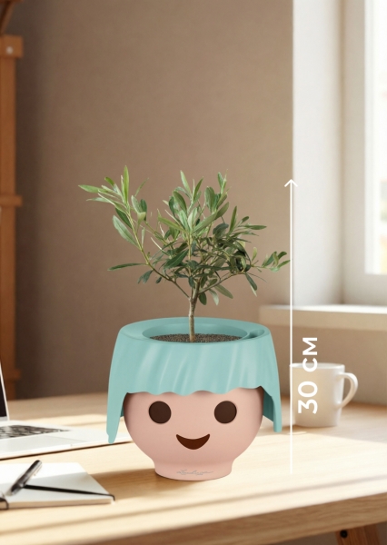 Олива 12/30 см в OJO Олива 12/30 см в OJO