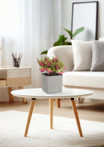 Гаультерия 14/30 см в CUBE Color 16