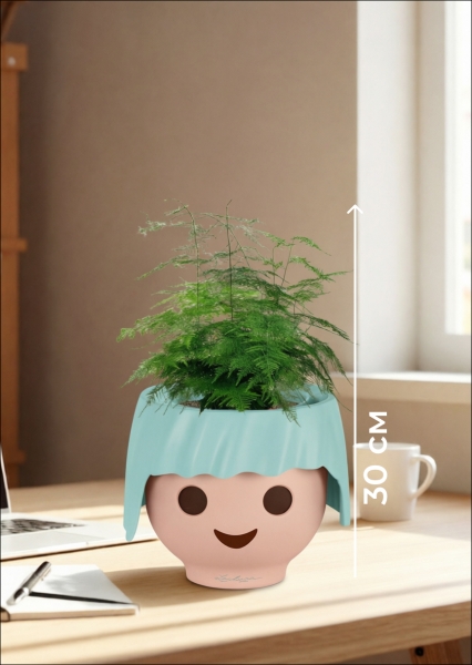 Аспарагус Плюмосус 12/30 см в OJO