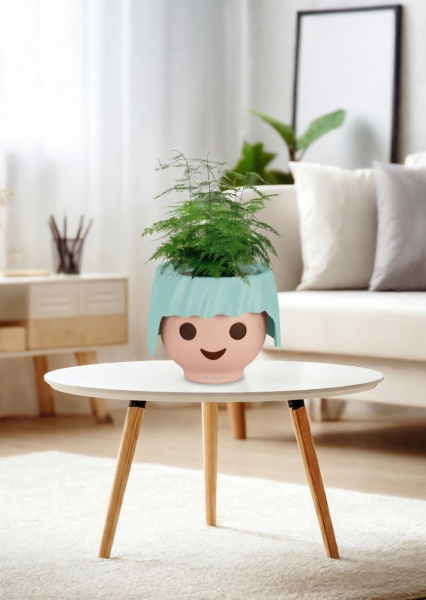 Аспарагус Плюмосус 12/30 см в OJO